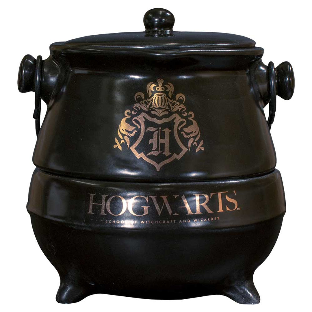 Harry Potter Hogwarts Castle Design Tea for One Teapot and Cup